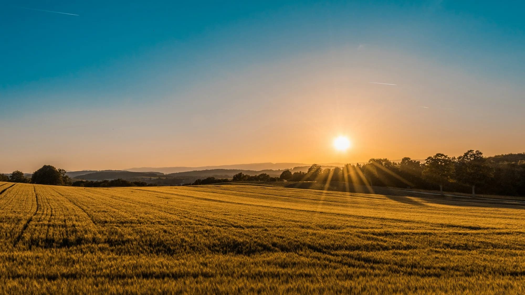 Open land with trees and fields